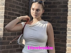 Erlenebrookins