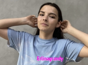 Erlinagrandy