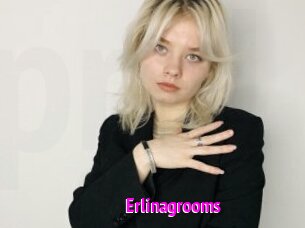 Erlinagrooms