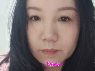 Evawa