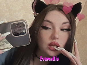 Evawallis