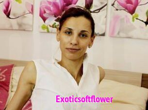 Exoticsoftflower