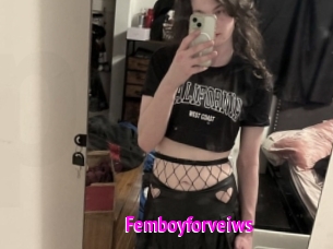 Femboyforveiws