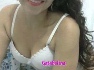 GataFelina