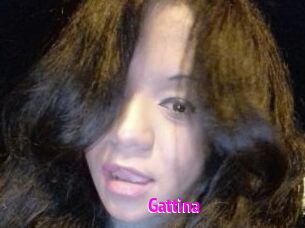 Gattina