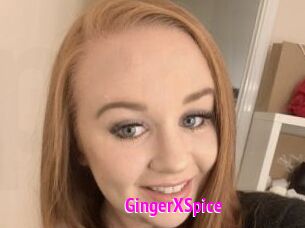 GingerXSpice