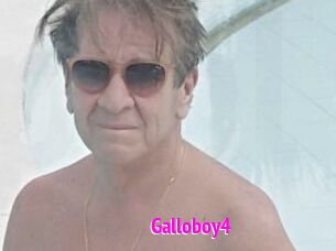 Galloboy4