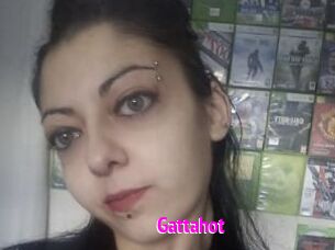 Gattahot