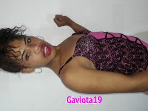 Gaviota19