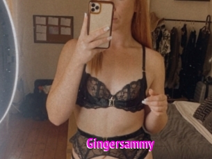 Gingersammy