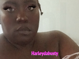 Harleydabusty