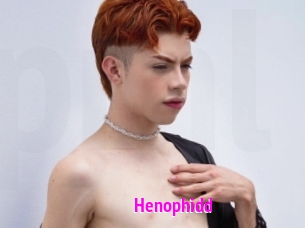 Henophidd