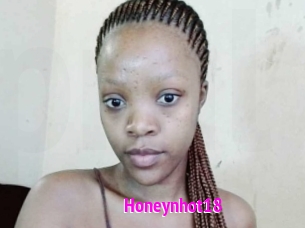 Honeynhot18