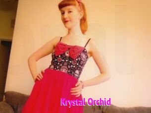 Krystal_Orchid