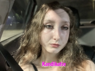 Kandikatie