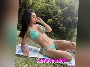 Karimemodel