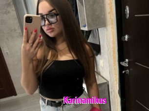 Karinamikus