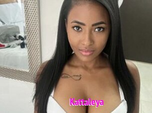 Kattaleya