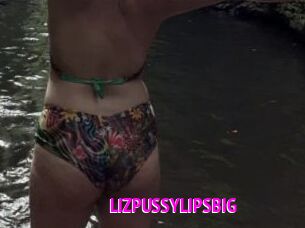 LIZPUSSYLIPSBIG