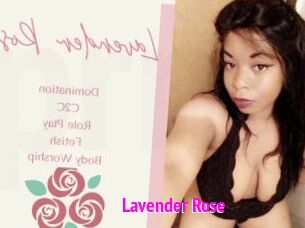 Lavender_Rose