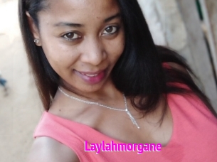 Laylahmorgane