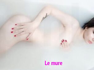 Le_mure