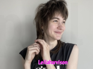 Leilaharvison