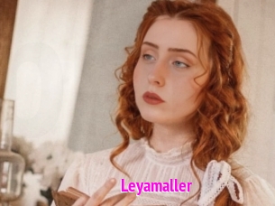 Leyamaller