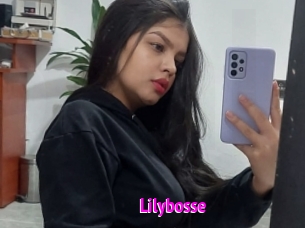 Lilybosse