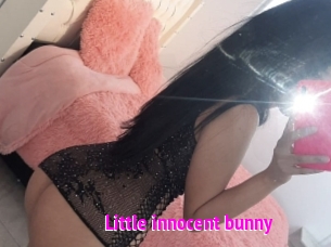 Little_innocent_bunny