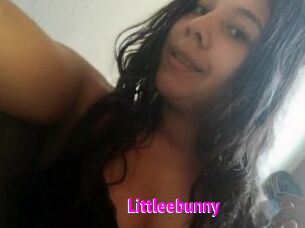 Littleebunny