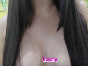 Lizcam