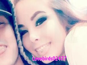 Lovebirds02477