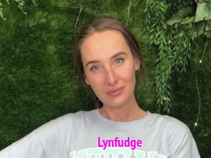 Lynfudge