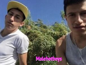 Malehotboys