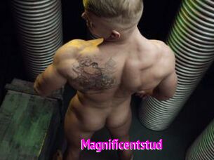 Magnificentstud