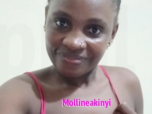 Mollineakinyi