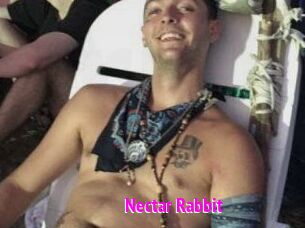 Nectar_Rabbit