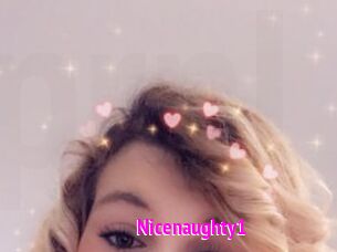 Nicenaughty1