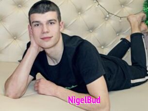 NigelBud