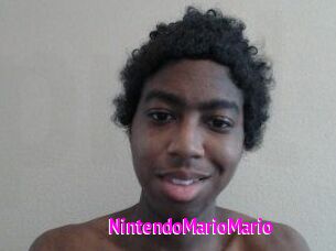 NintendoMarioMario