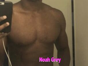 Noah_Grey