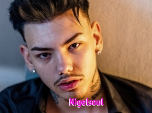 Nigelsoul