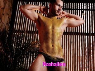Noahallen