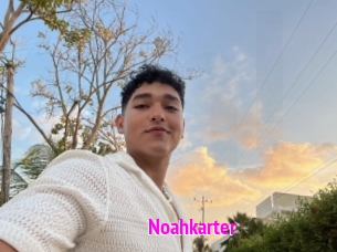 Noahkarter