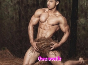 Owenwolfe