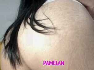 PAMELA_N