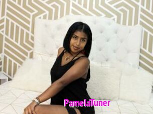 PamelaTuner