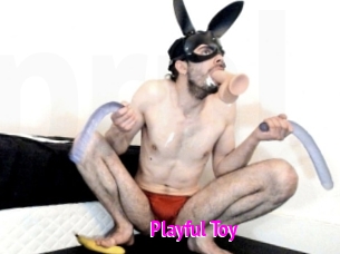 Playful_Toy