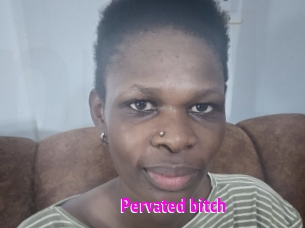 Pervated_bitch